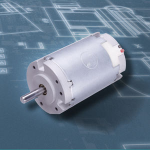 bürstenbehafteter Motor