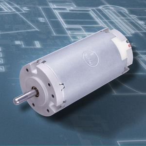 bürstenbehafteter Motor