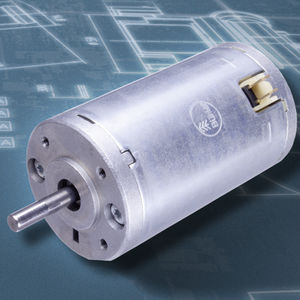 bürstenbehafteter Motor