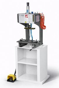pneumatische Presse 1