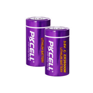 Lithium-Batterie