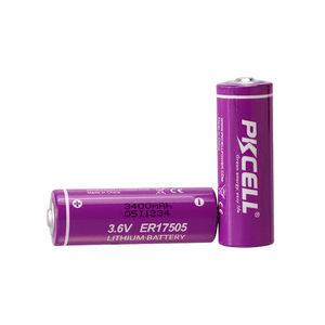 Lithium-Eisenphosphat-Batterie 1