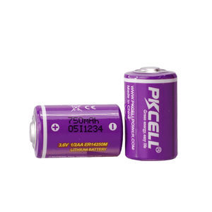 Lithium-Batterie