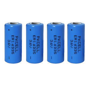 Lithium-Thionylchlorid-Batterie 1