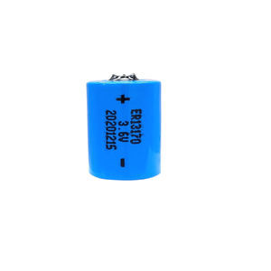 Lithium-Thionylchlorid-Batterie 1