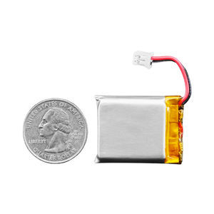 Wiederaufladbare Batterie / Lithium-Polymer