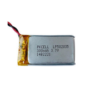 Wiederaufladbare Batterie / Lithium-Polymer