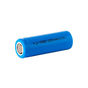 Wiederaufladbare Batterie / Li-Ion 1
