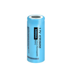 Wiederaufladbare Batterie / Li-Ion