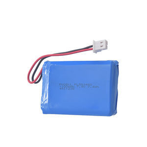 Wiederaufladbare Batterie / Lithium