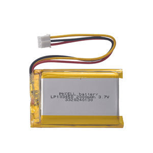Wiederaufladbare Batterie / Lithium