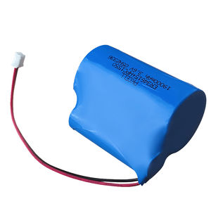 Lithium-Thionylchlorid-Batterie 1