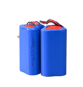 Lithium-Ionen-Batterie