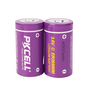Lithium-Thionylchlorid-Batterie 1