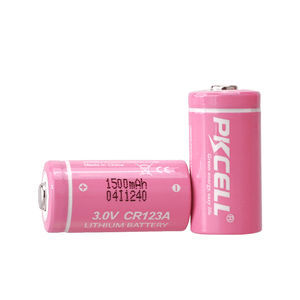 Lithium-Mangandioxid-Batterie 1