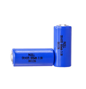 Lithium-Mangandioxid-Batterie