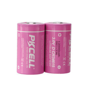 Lithium-Mangandioxid-Batterie 1