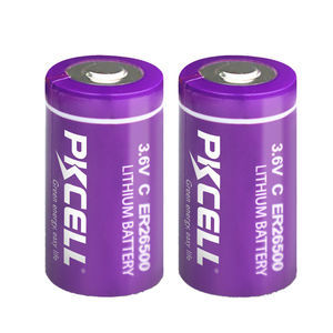 Lithium-Thionylchlorid-Batterie