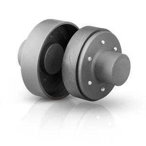 Elastomerkupplung 1