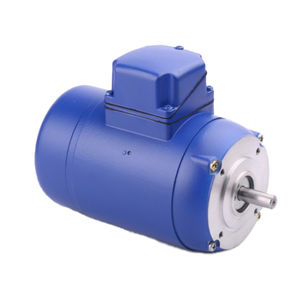 DC-Motor / Bürsten / 24V / 48V