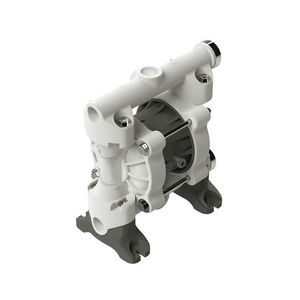 Doppelmembranpumpe 1