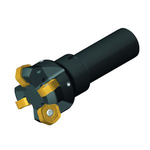 Walzenstirnfräser / Wendeplatten / Plan / 2-Schneiden