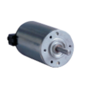 bürstenbehafteter Motor