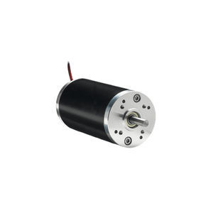 bürstenbehafteter Motor 1