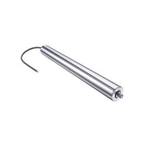 Motorrolle mit bürstenlosem Gleichstrommotor 1