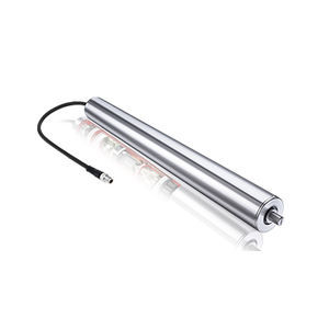 Motorrolle mit bürstenlosem Gleichstrommotor 1
