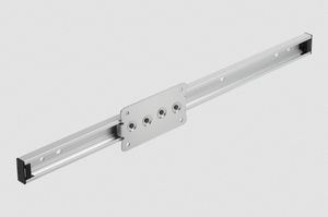 Rollen-Linearführungseinheit 1