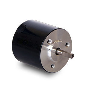 bürstenloser Motor 1