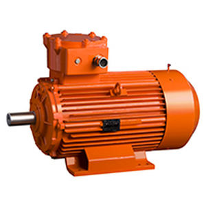 ATEX-Motor