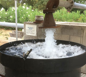 Wasserfilter