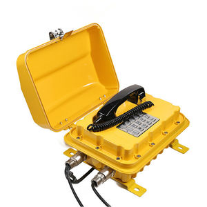 Schutztüren-Telefon 1