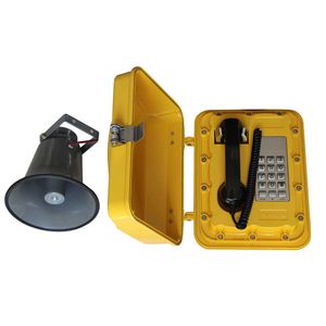 analoges Telefon 1