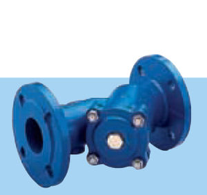 Wasserfilter