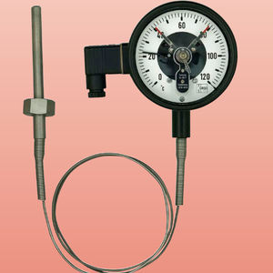 Fühler-Thermometer 1