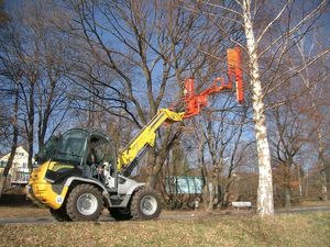 Astschneidekopf für Teleskoplader