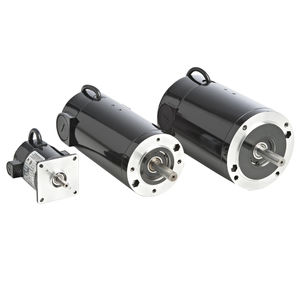 bürstenbehafteter Motor
