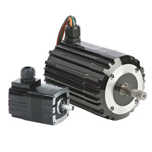 bürstenloser Motor
