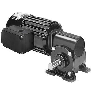 AC-Getriebemotor 1