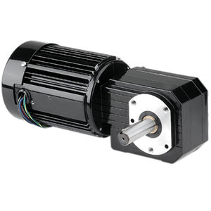 AC-Getriebemotor 1