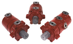 Zahnradhydraulikmotor 1