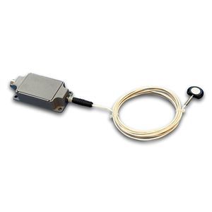 RTD-Temperatursensor 1
