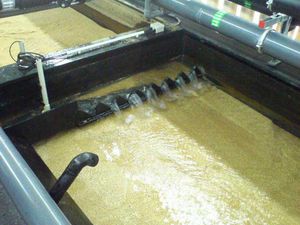 Abwasserreinigungsystem mit Bio-Filtersystem