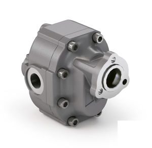 hydraulische Zahnradpumpe 1