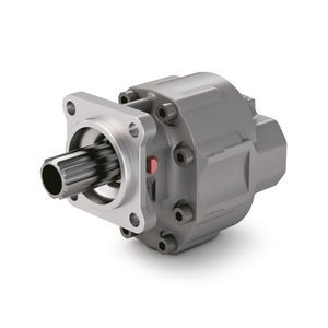 hydraulische Zahnradpumpe 1