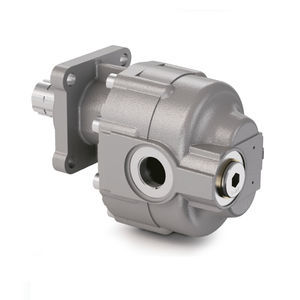 hydraulische Zahnradpumpe 1