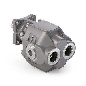 hydraulische Zahnradpumpe 1
